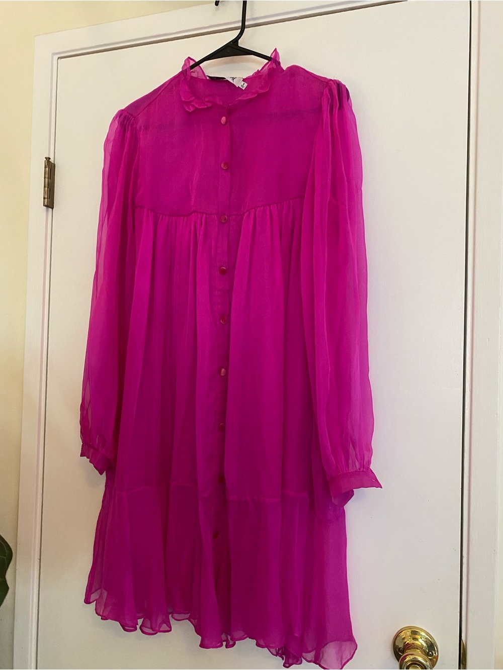 Rachel Antonoff Fuchsia Pink Sheer Button-Front Dress